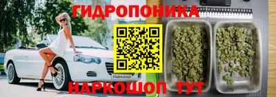 кокс Донской