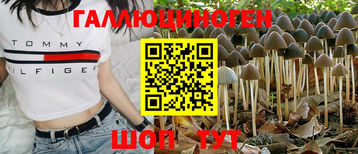 Галлюциногенные грибы GOLDEN TEACHER Медногорск